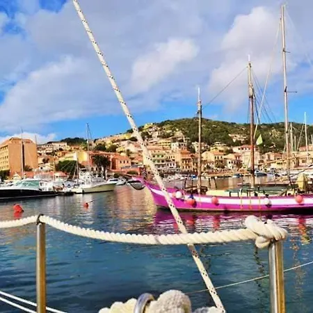 Cavalluccio Marino La Maddalena (Sassari)